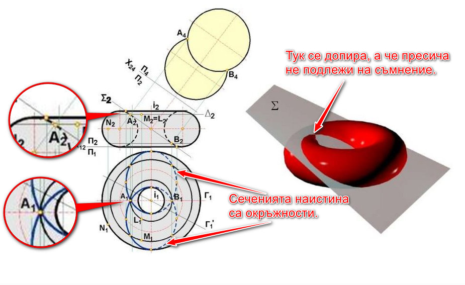 Тор-сечение.jpg
