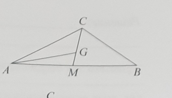 20220412_231728.jpg