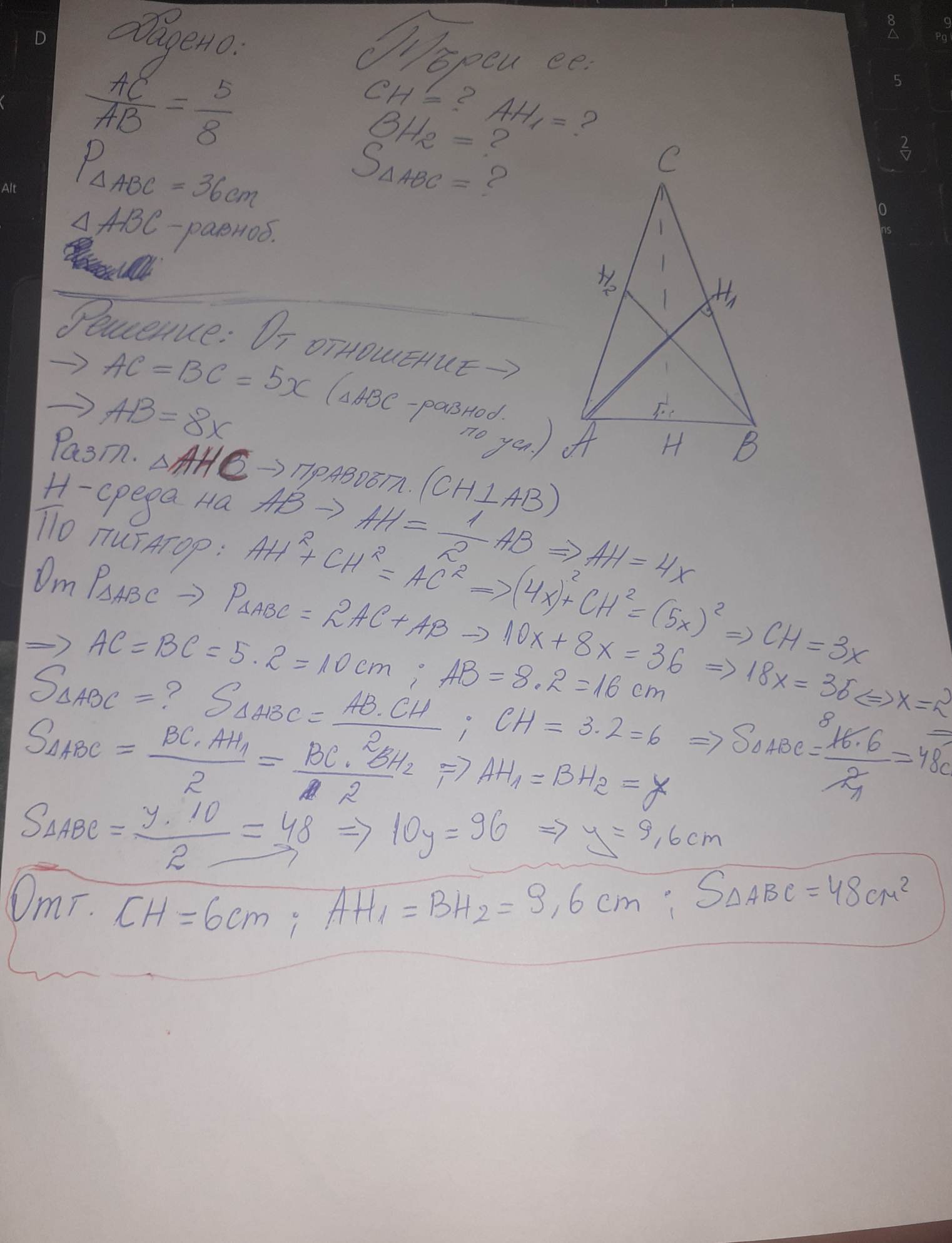 284261396_538788347952705_2924083880020532236_n.jpg