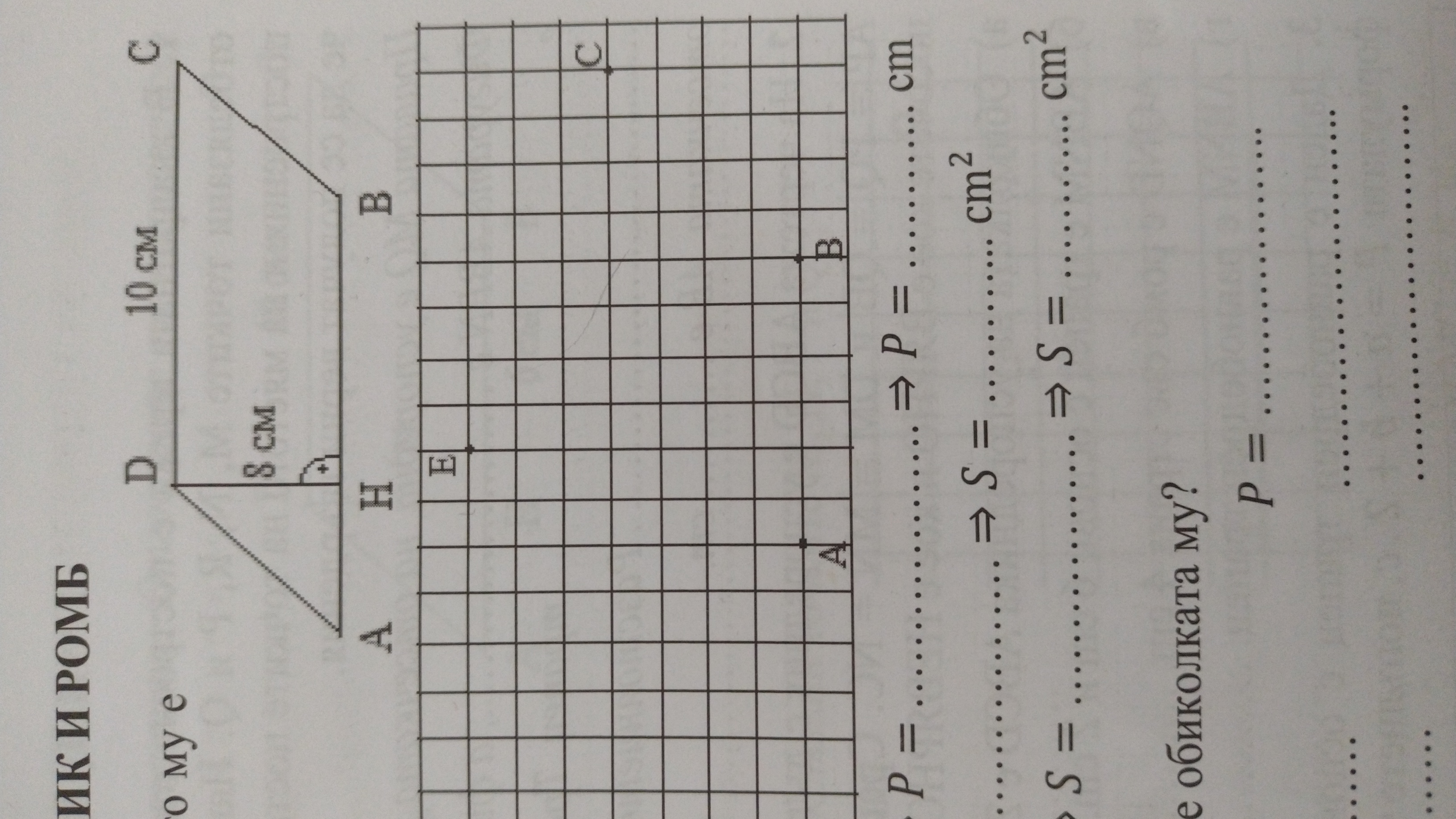 16795549558223842507475996597574.jpg
