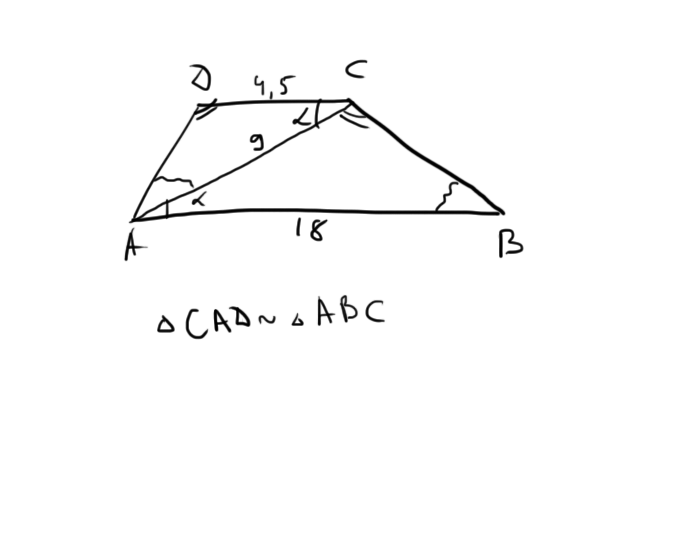 43.png