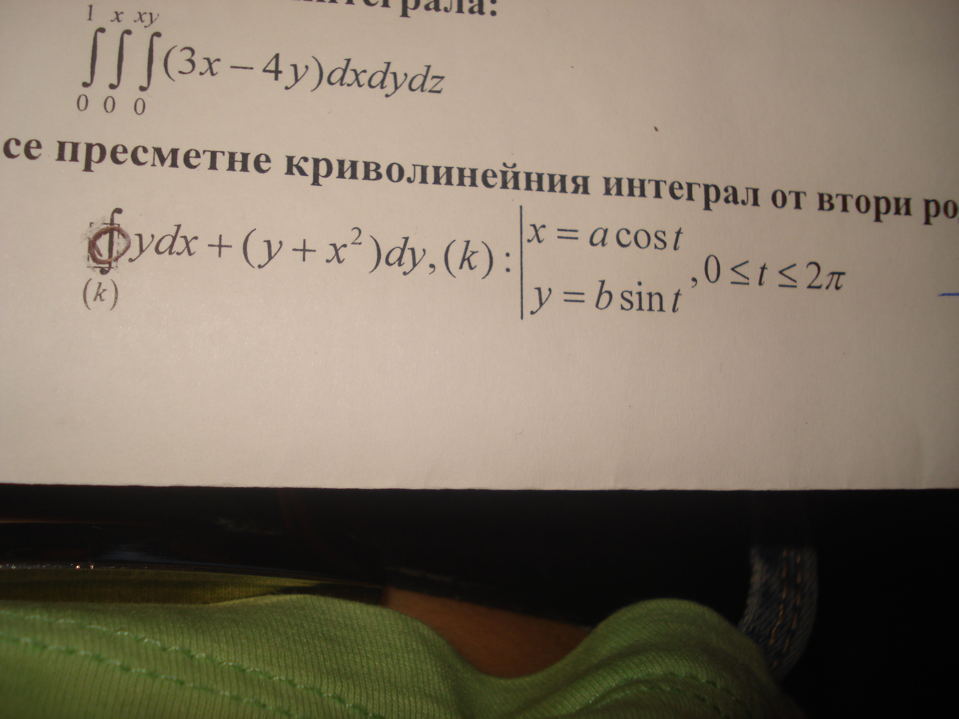 dommit.jpg
